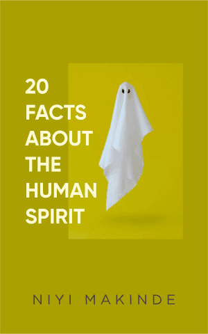 20 Facts about the Human Spirit by Niyi Makinde
