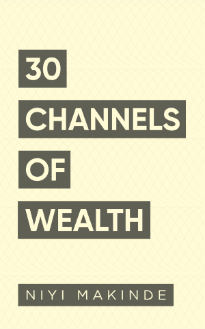 30 Channels of Wealth by Niyi Makinde